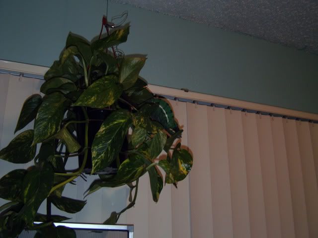 FILE0656.jpg