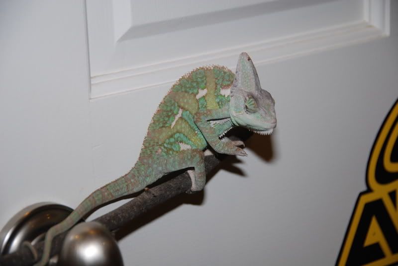 20071015022.jpg
