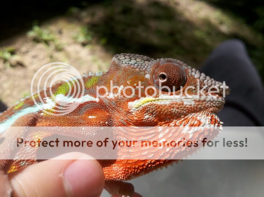 2011-08-11_10-30-16_507.jpg