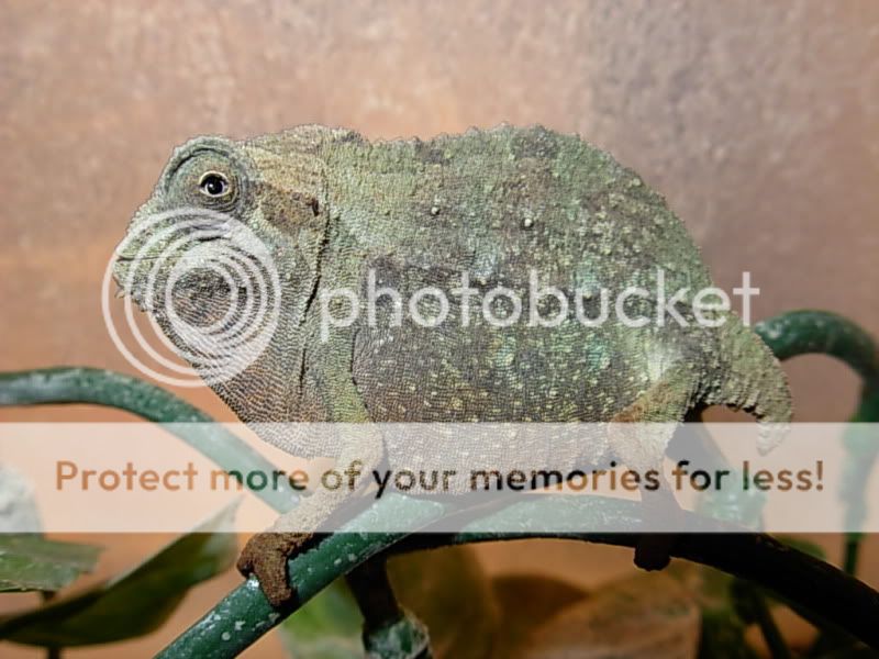 DSCN4333.jpg