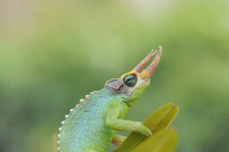 DSC_0225.jpg