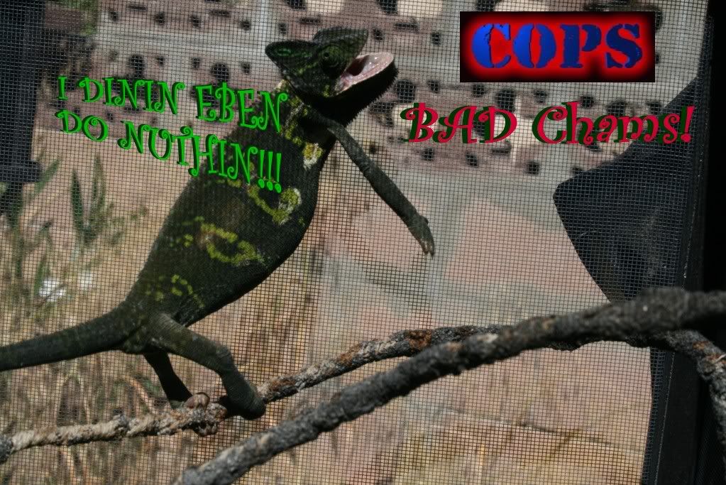 eospics9-19-09007-6.jpg
