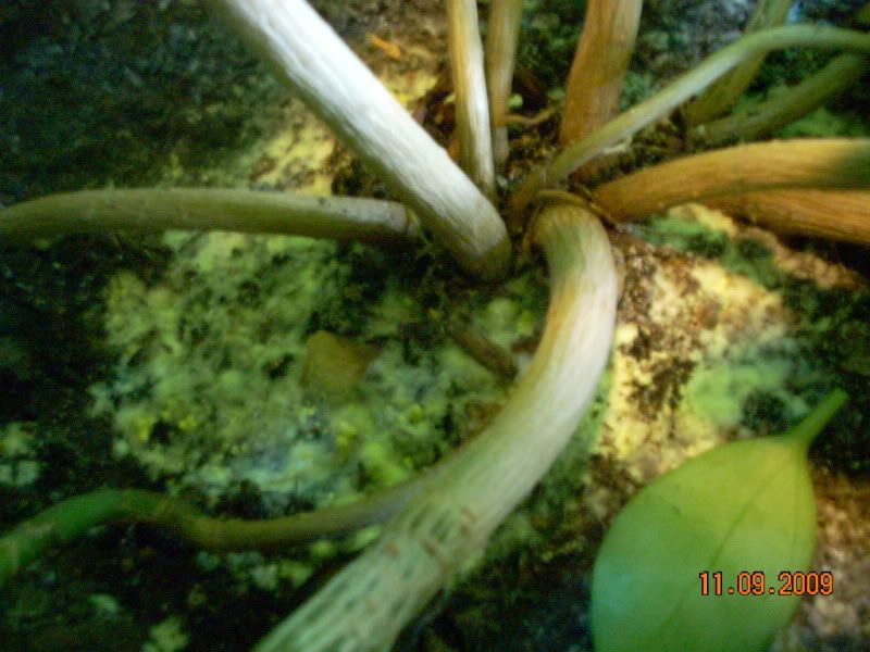 DSCN2072.jpg