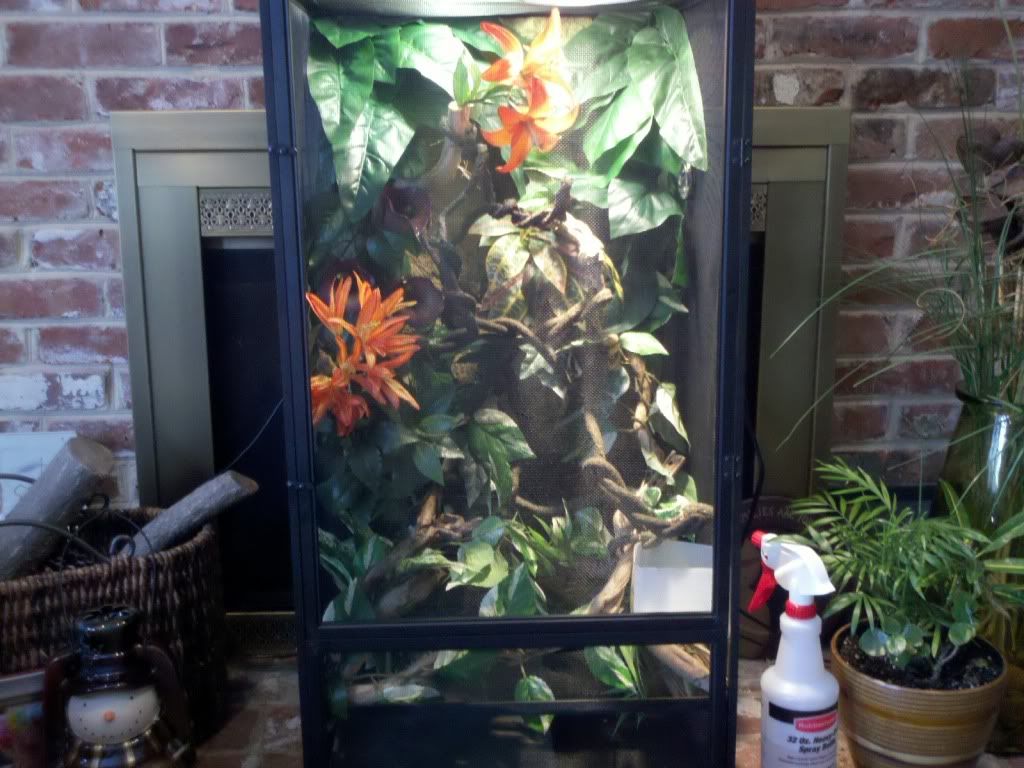 2011-01-10_11-59-42_764.jpg
