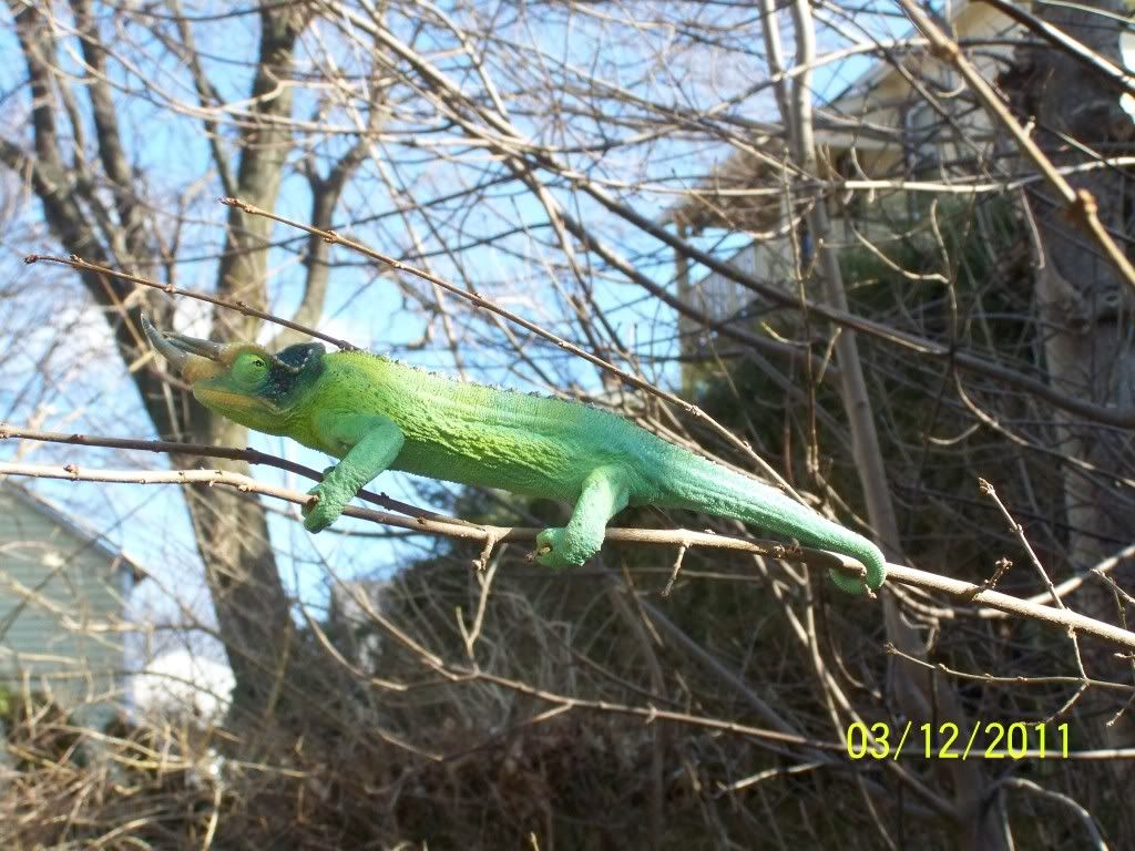 100_4384.jpg