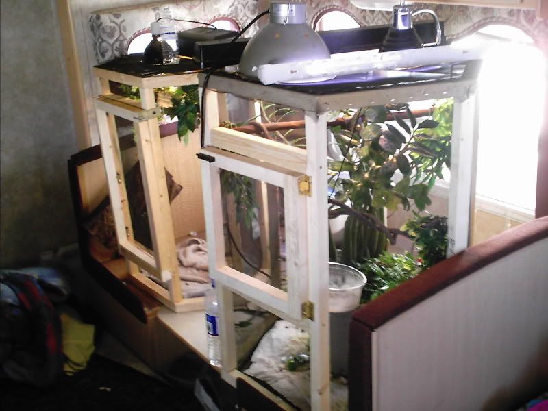 cages2.jpg
