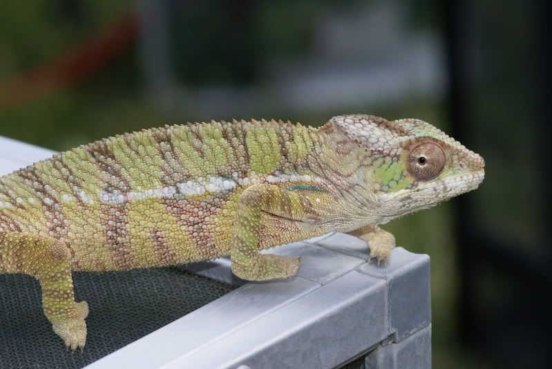 DSC07235.jpg