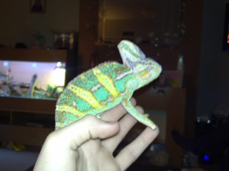 03122008014.jpg