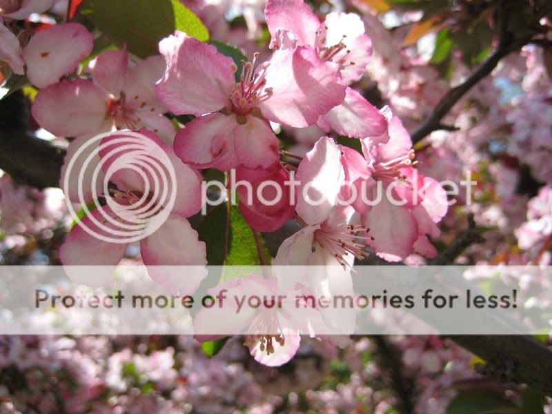 IMG_0046.jpg