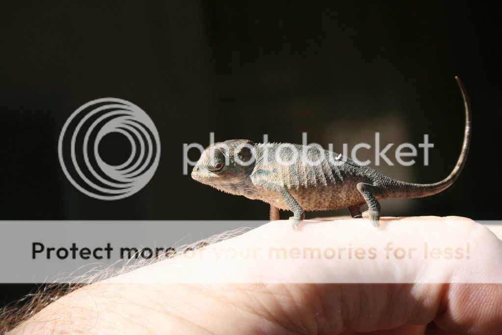 somepics023.jpg