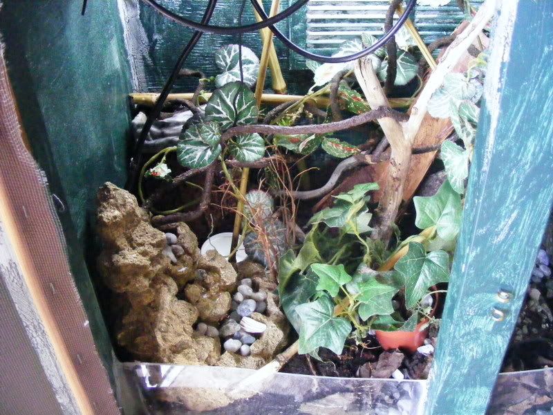 DSCF9213.jpg