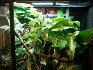 2011-06-07000619.jpg
