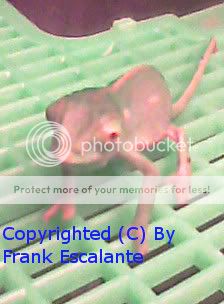 editedImage0055_edited.jpg