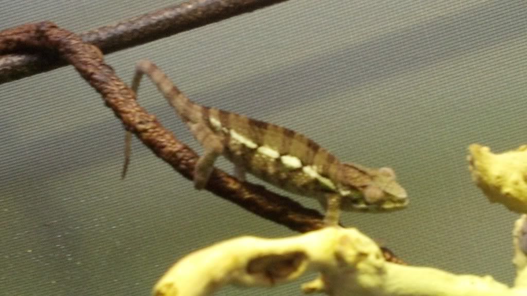 2012-04-08_11-15-56_807.jpg