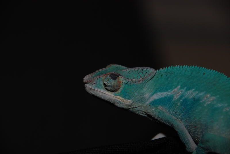 20071029005.jpg