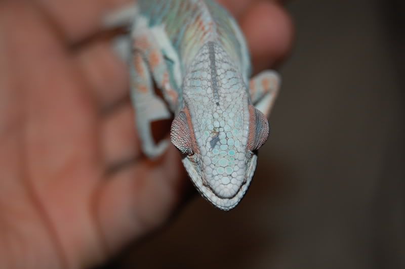 DSC_0075.jpg