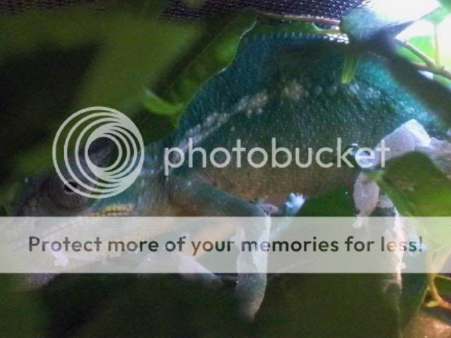 005-6.jpg