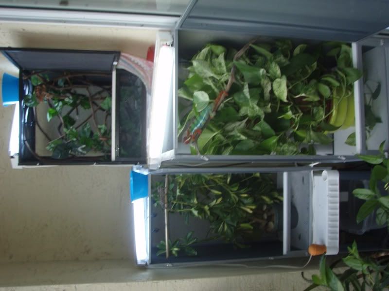 PA040248.jpg