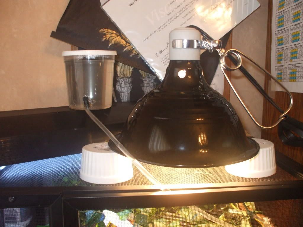 DSCF4529.jpg