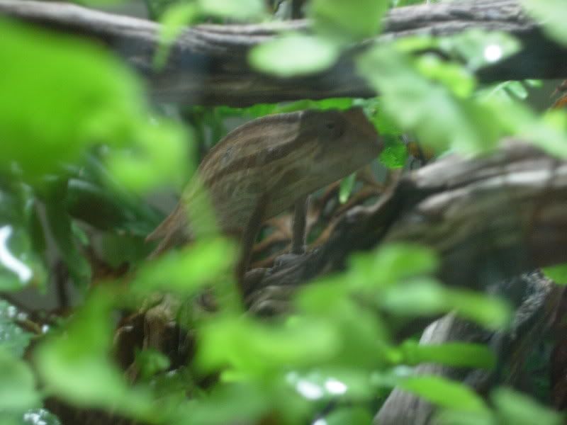 DSCN1626.jpg