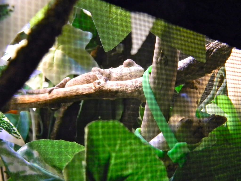 DSCN0460.jpg