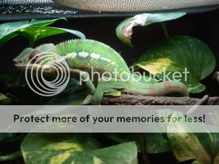 2011-10-22155414.jpg