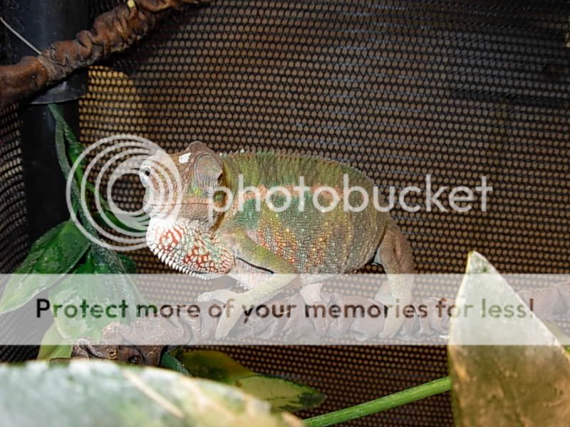 DSCN6041.jpg