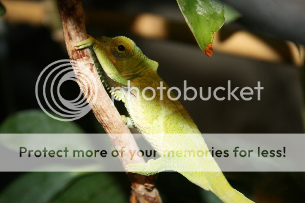 moresundaypics013.jpg