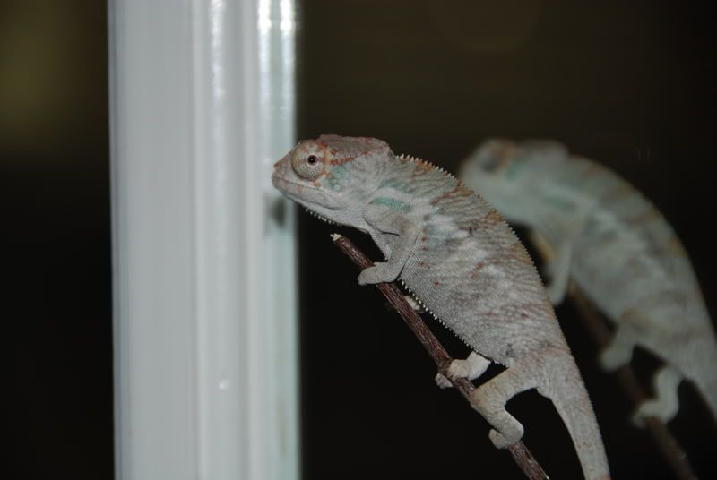 20070913083.jpg