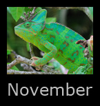 november.jpg