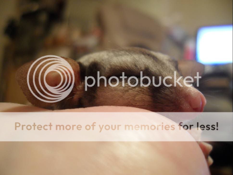 CuteBubble1.jpg