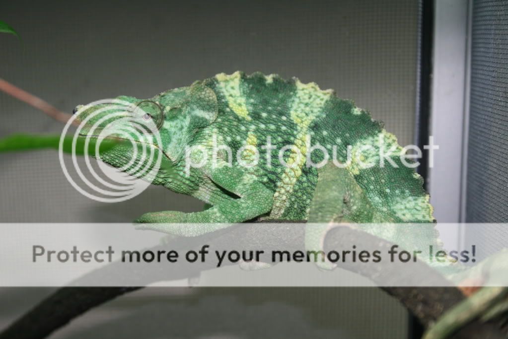 eospics9-19-09019-1.jpg