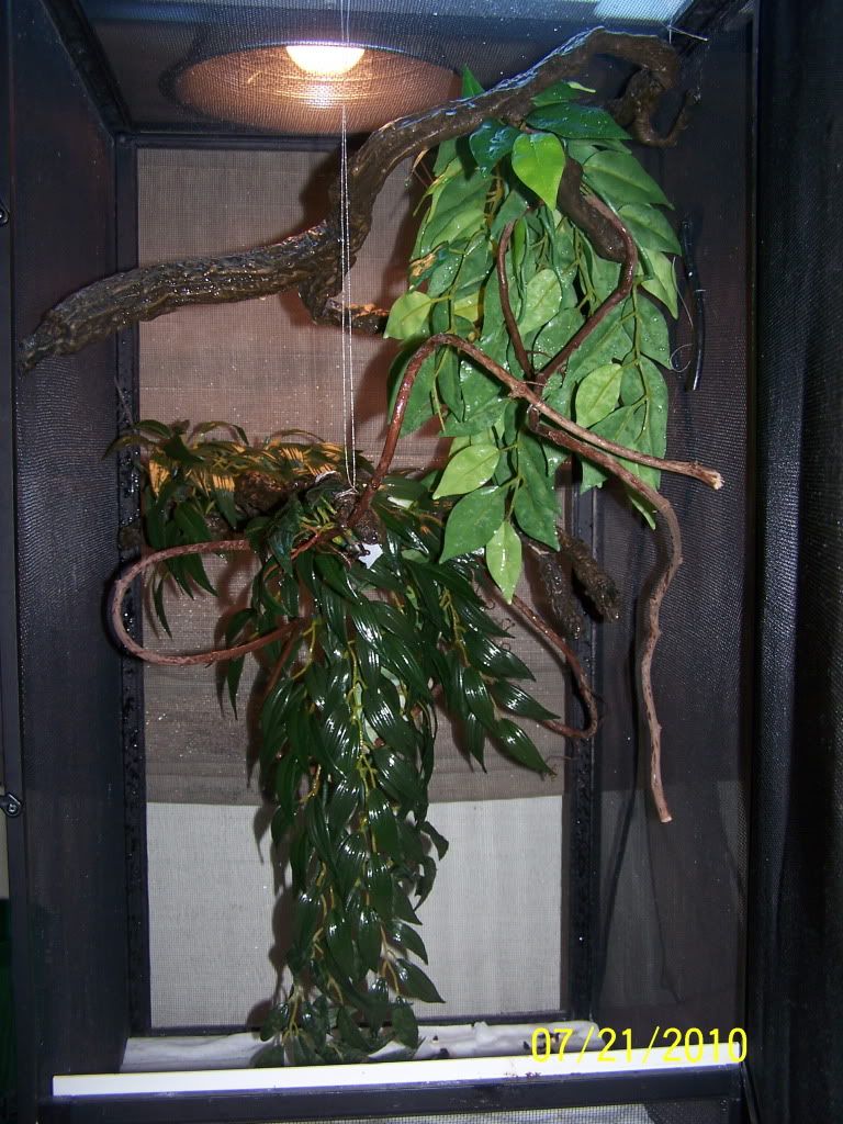 100_3405.jpg
