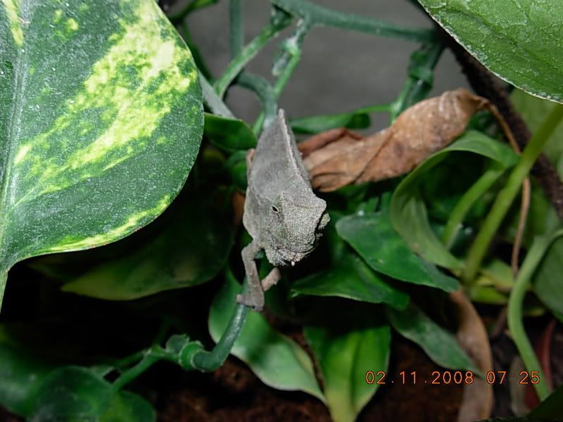DSCN0490.jpg