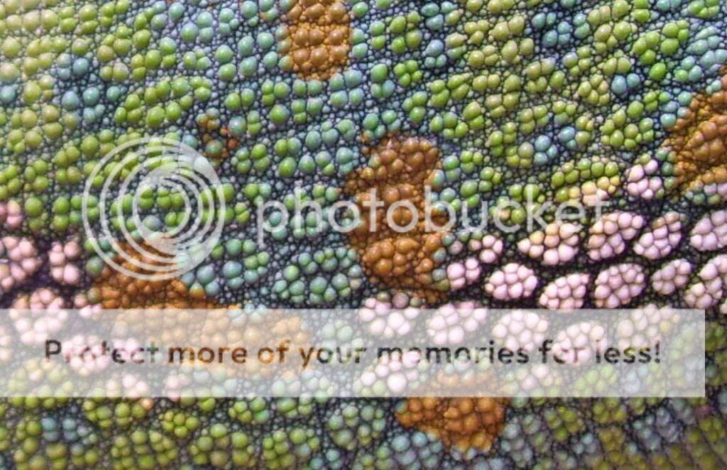 skinsample.jpg