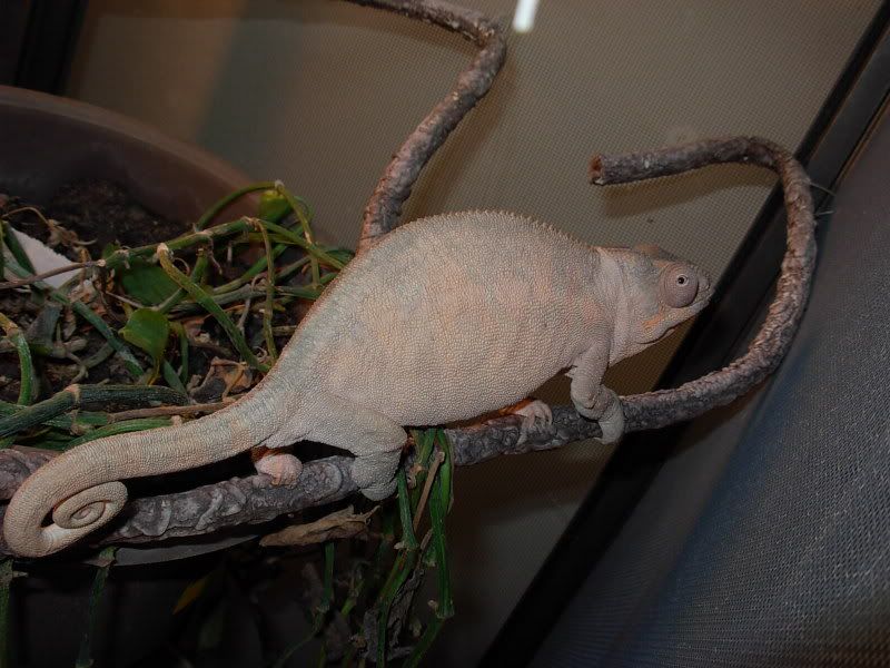 DSCN5638.jpg