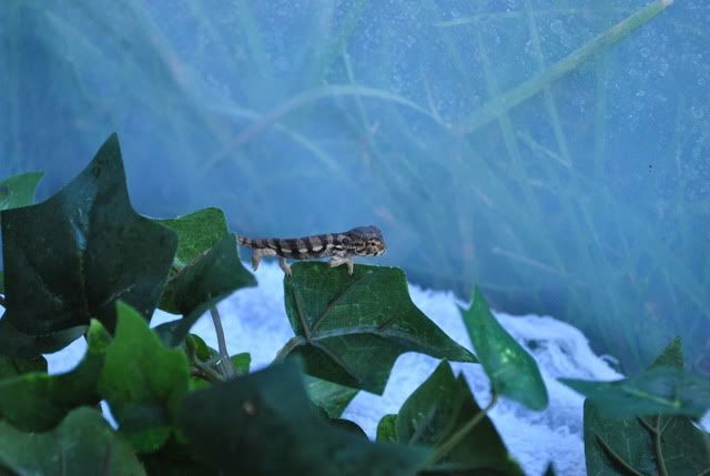 DSC_00728.jpg