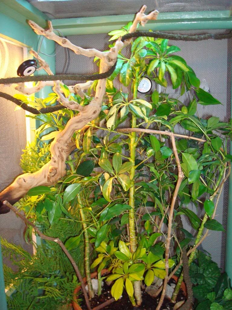 003-3.jpg