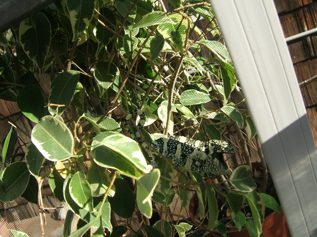 DSCF7621.jpg