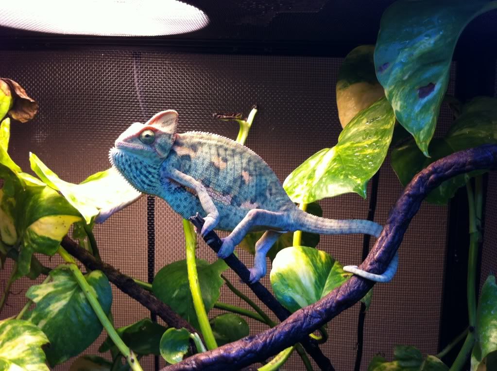 2012-10-08144327.jpg