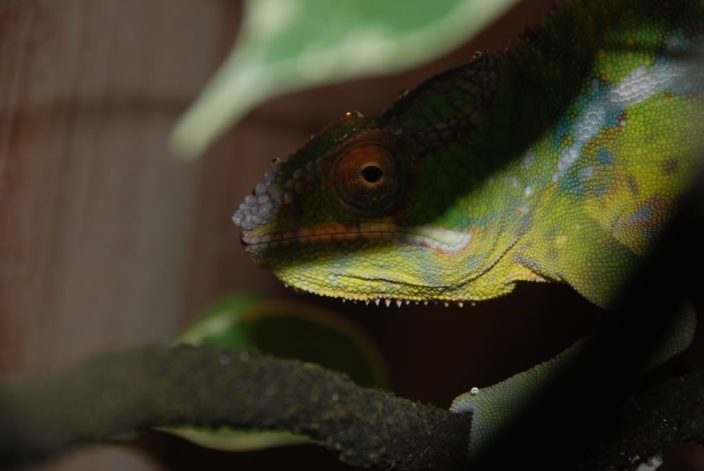 DSC_0269.jpg