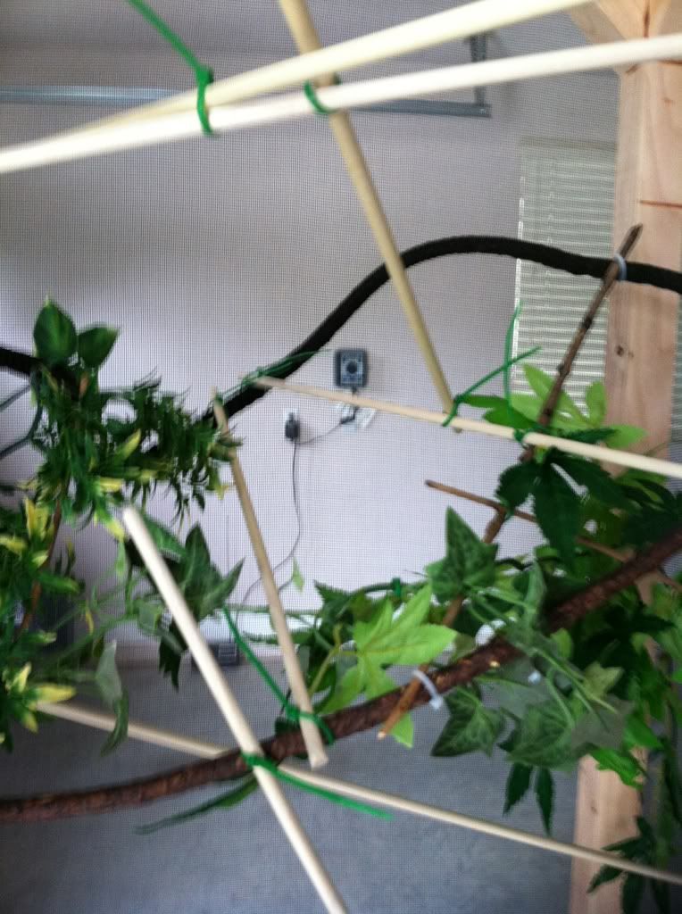 79e56760.jpg