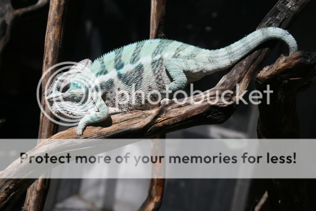 eospics9-19-09017-4.jpg