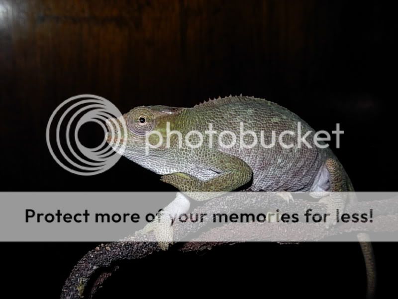 DSCN5247.jpg