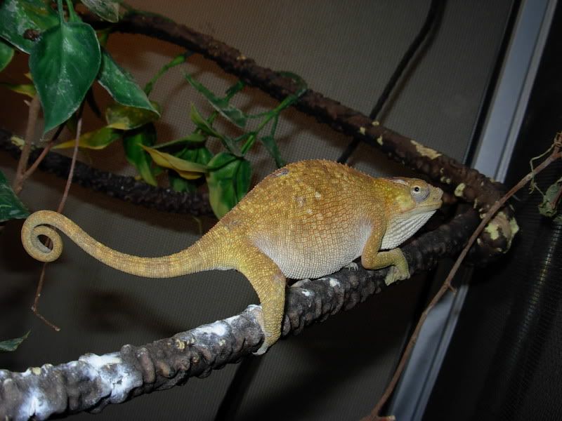 DSCN5730.jpg