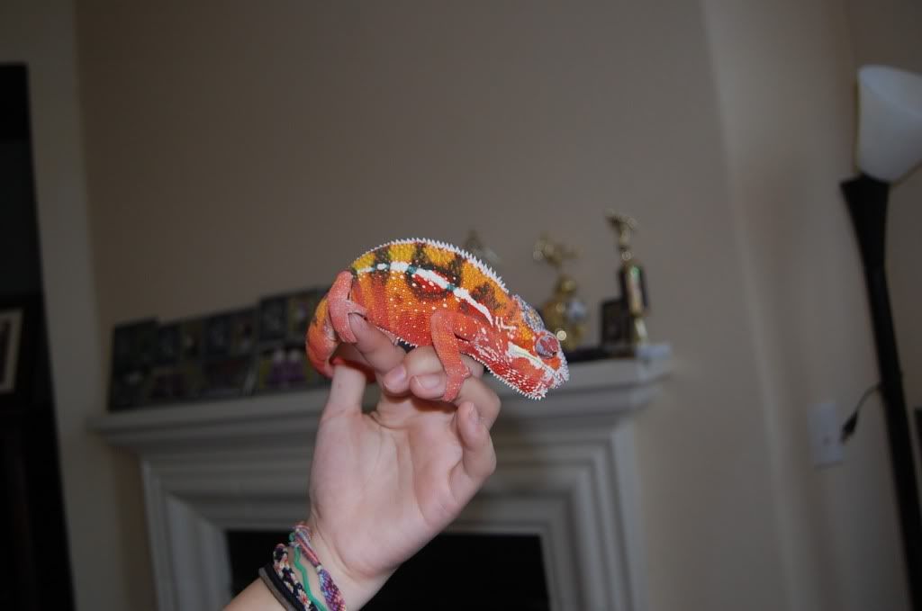 DSC_0010.jpg