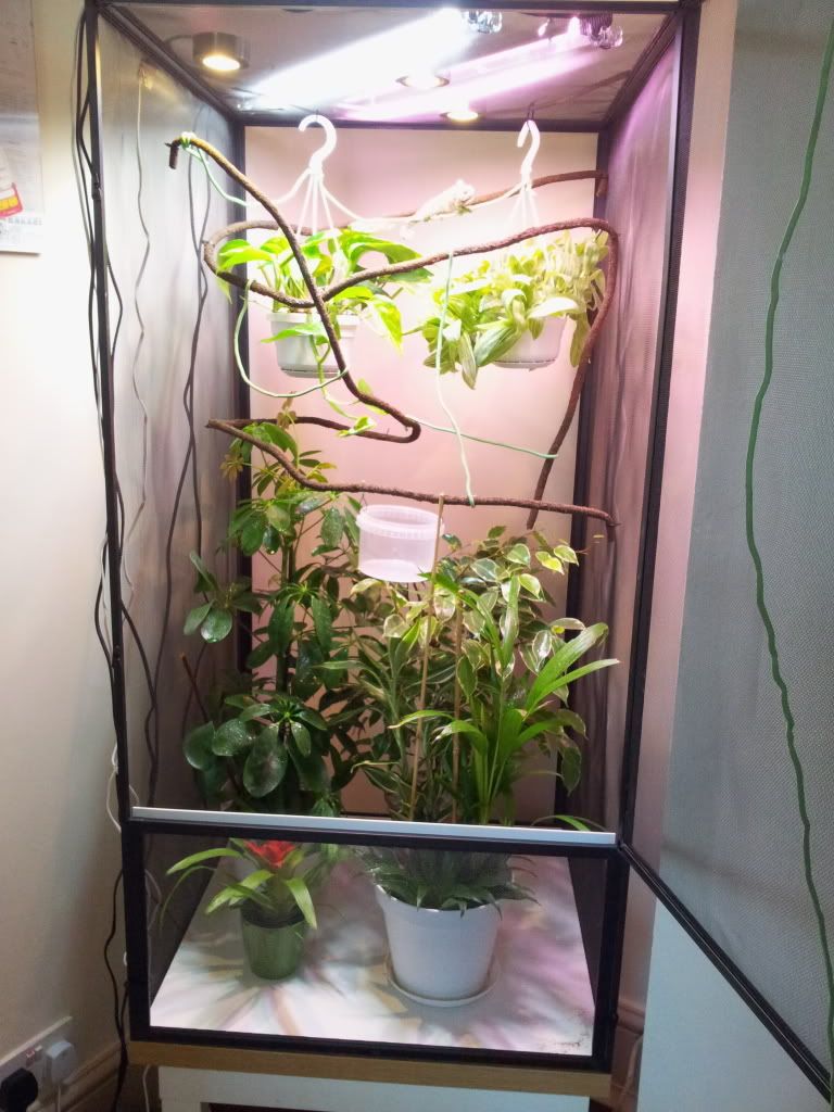 20120308_152331.jpg