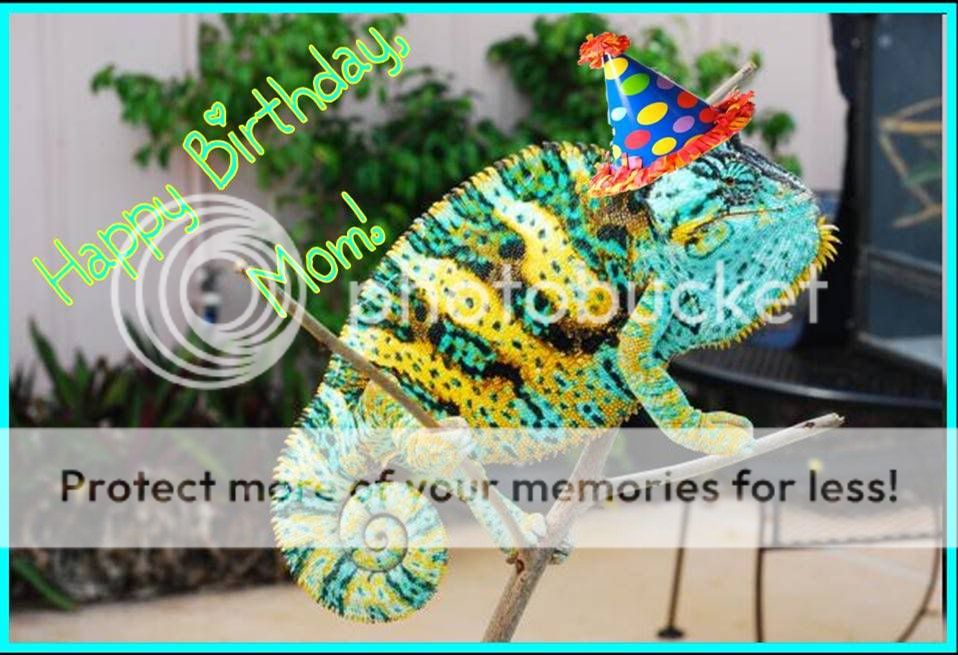 JannBbdayLuie.jpg