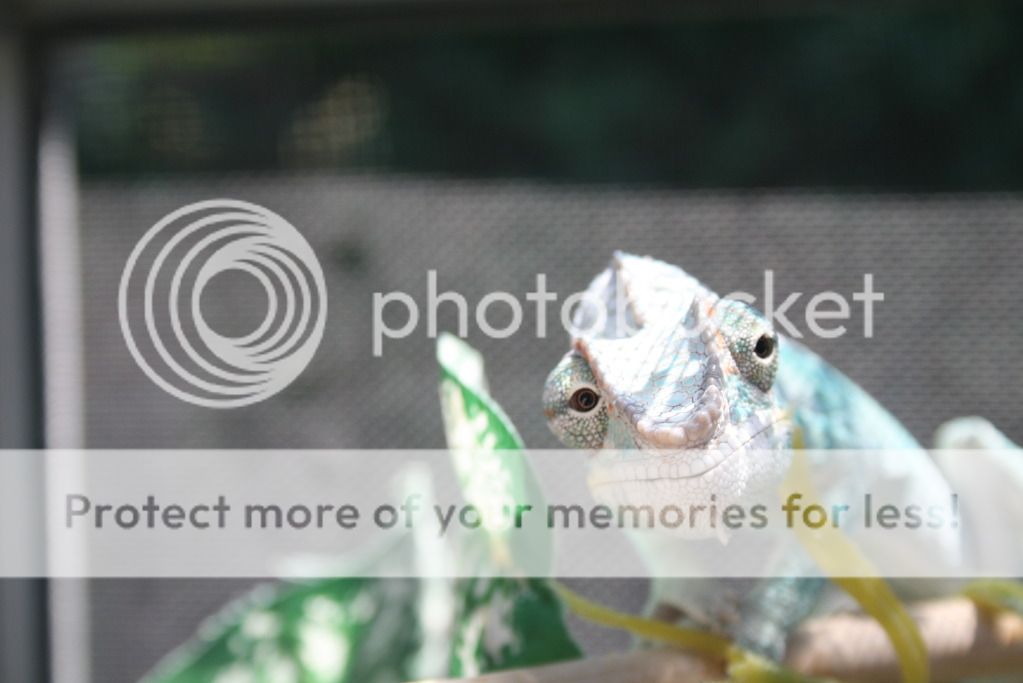 outsidepics011.jpg