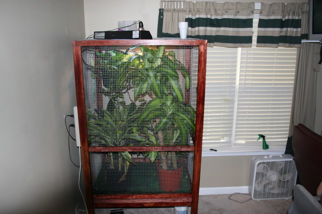 Picture202.jpg